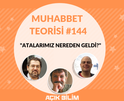 MUHABBET TEORİSİ #144: ATALARIMIZ NEREDEN GELDİ?