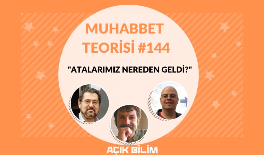 MUHABBET TEORİSİ #144: ATALARIMIZ NEREDEN GELDİ?