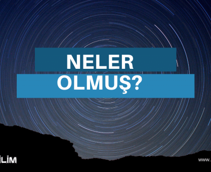 NELER OLMUŞ #1: VOYAGER 2 VE BATI NİL VİRÜSÜ