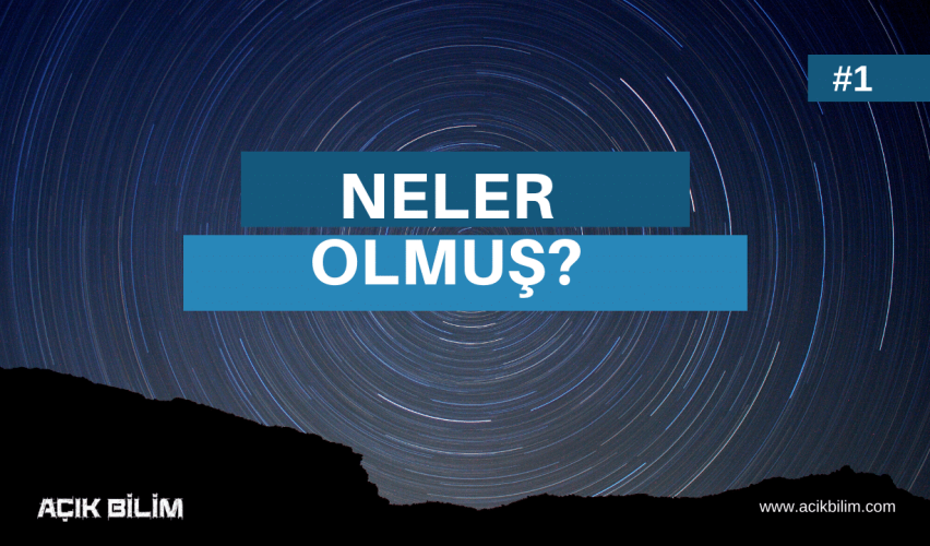 NELER OLMUŞ #1: VOYAGER 2 VE BATI NİL VİRÜSÜ