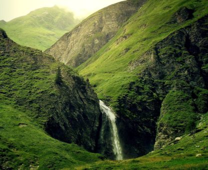 Two long weeks I wandered