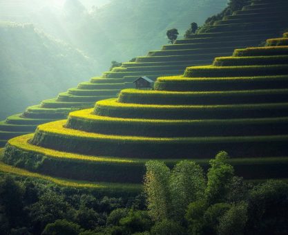 Then going through some small strange motions