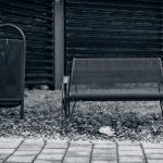 It is very curious to watch this