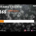MUHABBET TEORİSİ #165: Nedir mRNA Aşısı?