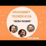 Muhabbet Teorisi 136: SİCİM TEORİSİ