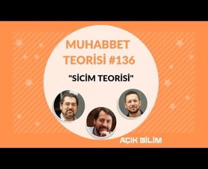 Muhabbet Teorisi 136: SİCİM TEORİSİ