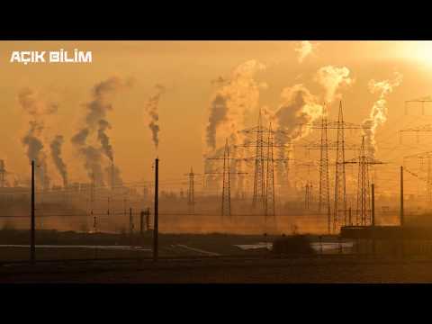 Hava Kirliliği Sigaradan Bile Tehlikeli!