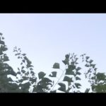 Yarından Hikayeler #24: İletişim Çağı