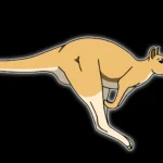 kanguru