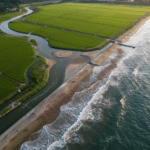 Gübre Kaplamalarının Kıyıya Yolculuğu